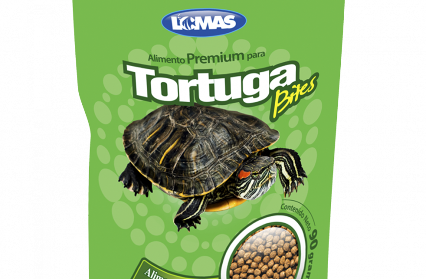 Comida para tortugas