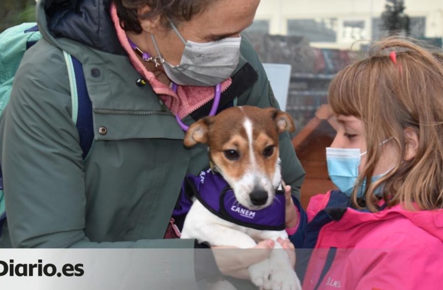 Cuánto tiempo puede vivir un perro con diabetes?