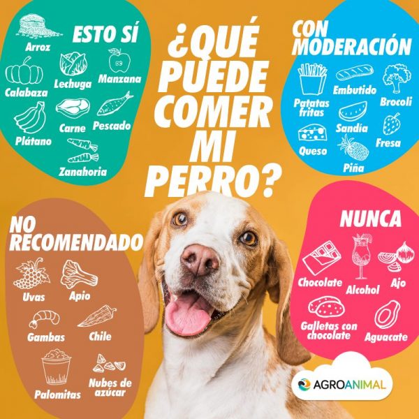 ¿Es bueno darle jamón a los perros?
