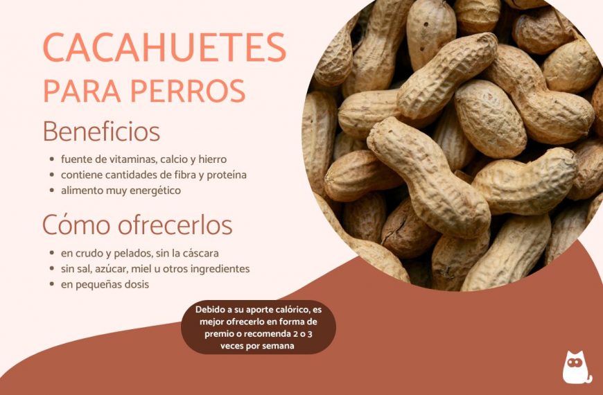 La crema de cacahuate es buena para los perros