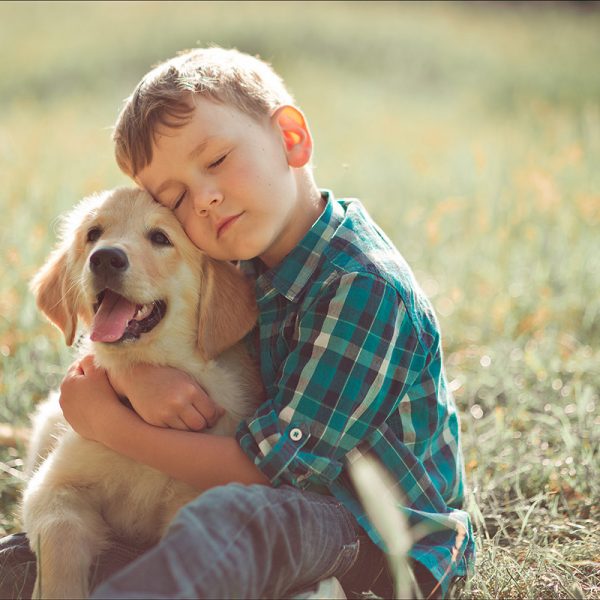 Por amor a los perros: cómo cuidarlos y protegerlos